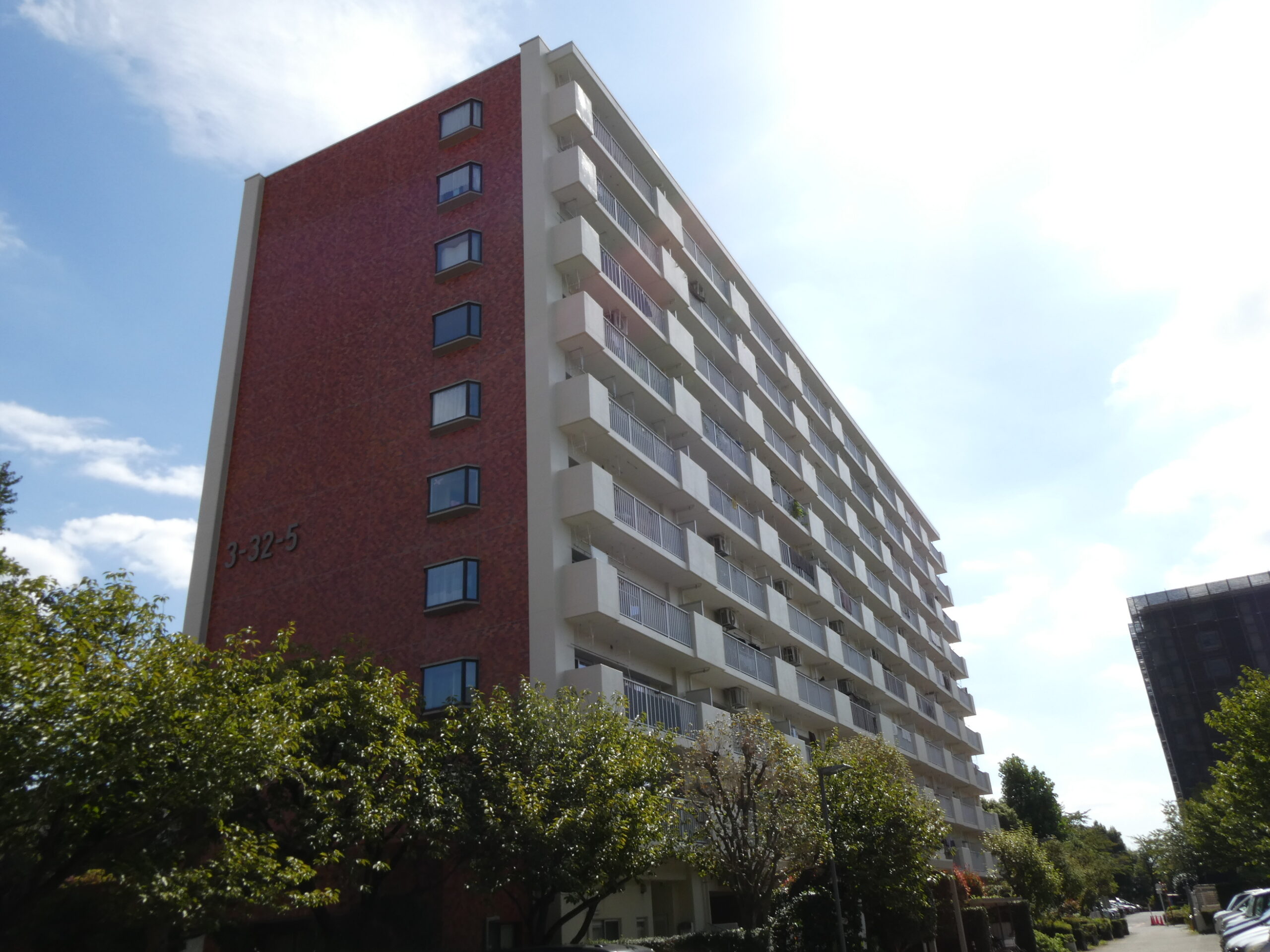 ゆりの木通り北