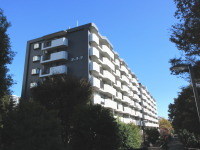 https://www.smilehikari.com/wp/wp-content/uploads/citycorpo_01.jpg