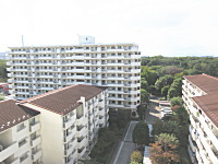 ゆりの木通り南