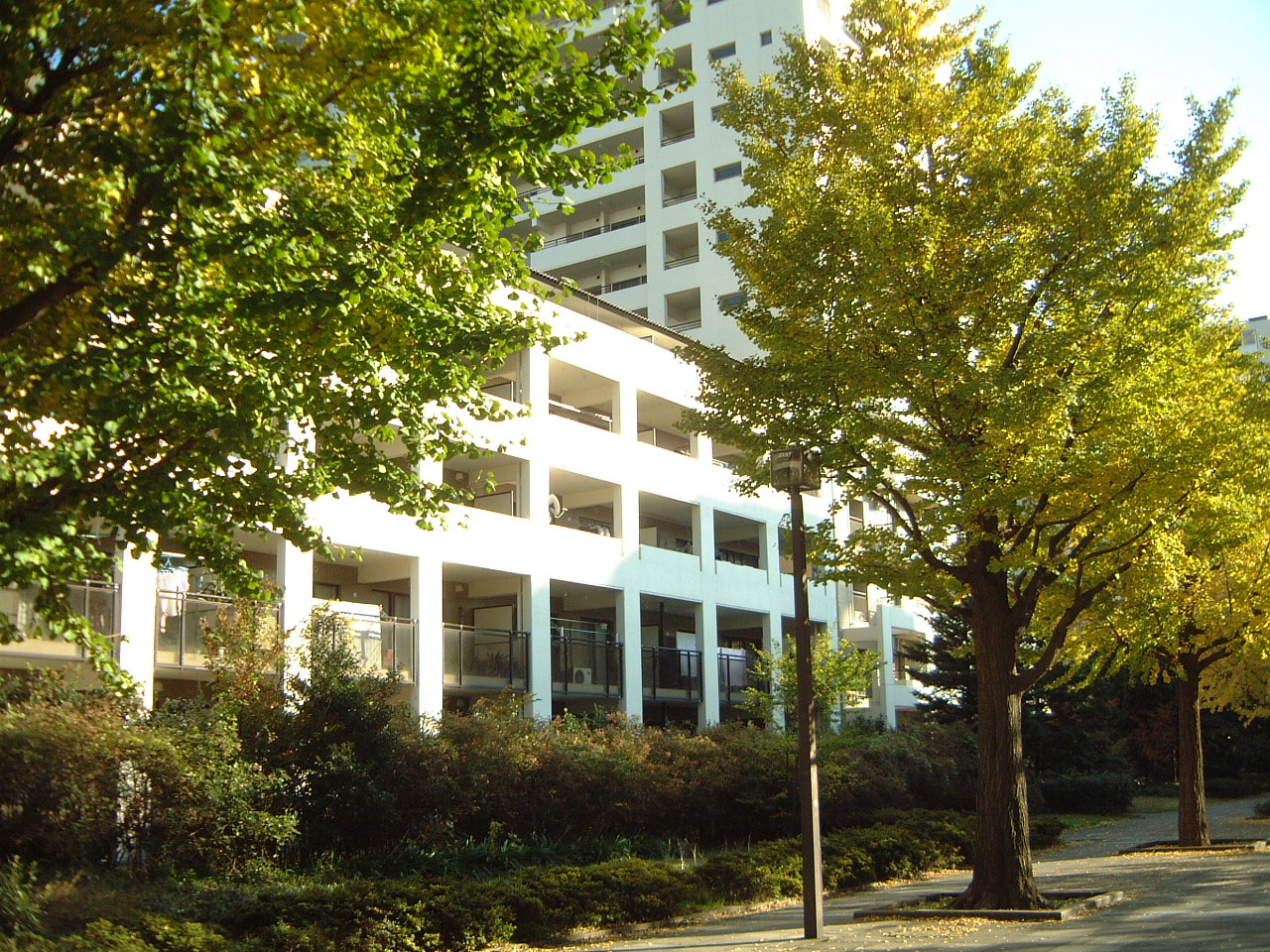 いちょう通り東第二